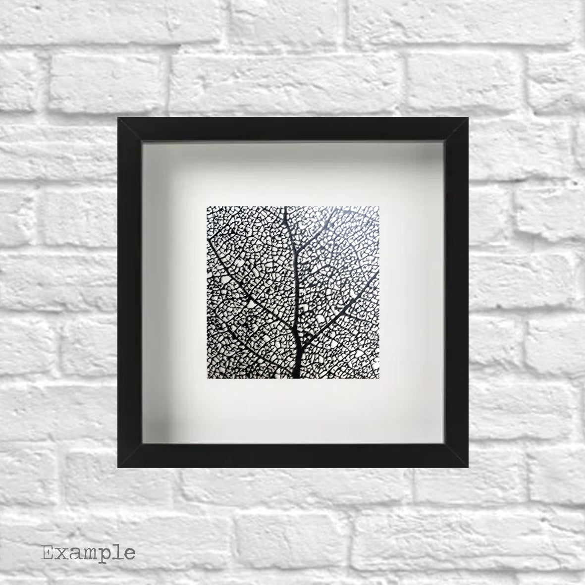 Black Leaf | Framed Glass