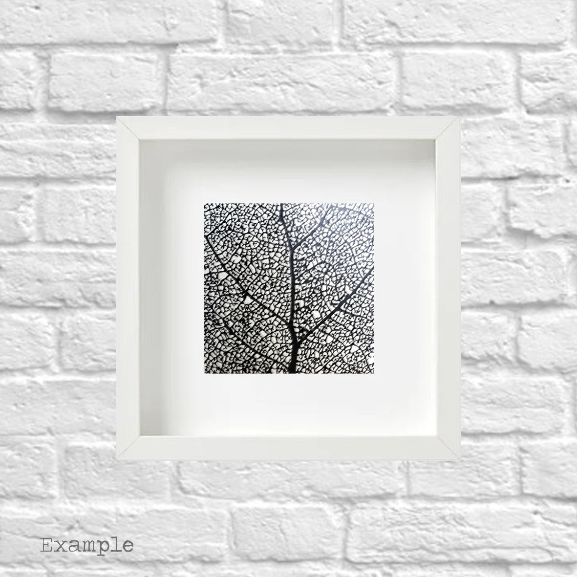 Black Leaf | Framed Glass