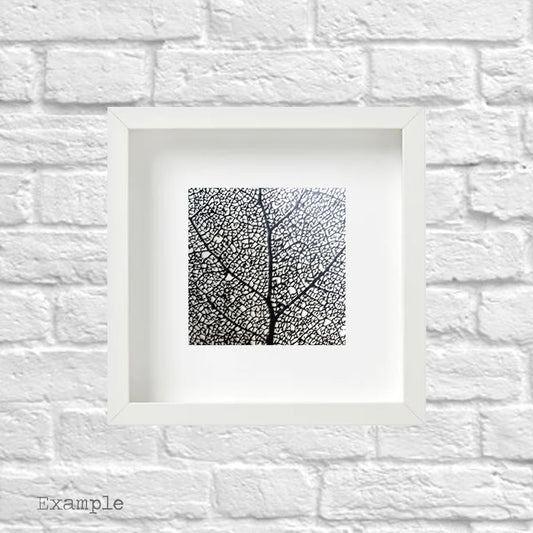 Black Leaf | Framed Glass