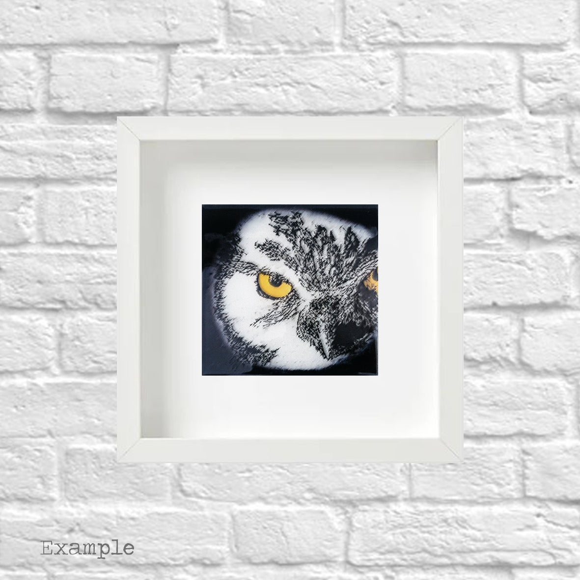 Owl | Framed Glass