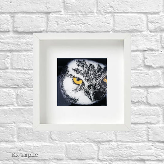 Owl | Framed Glass