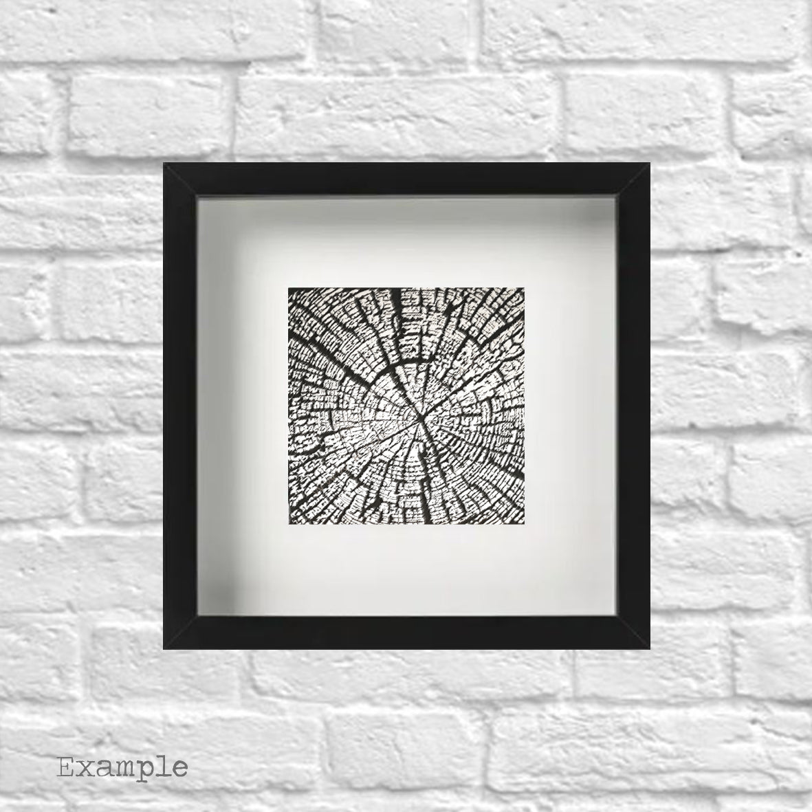 Rings Of Age | Framed Glass