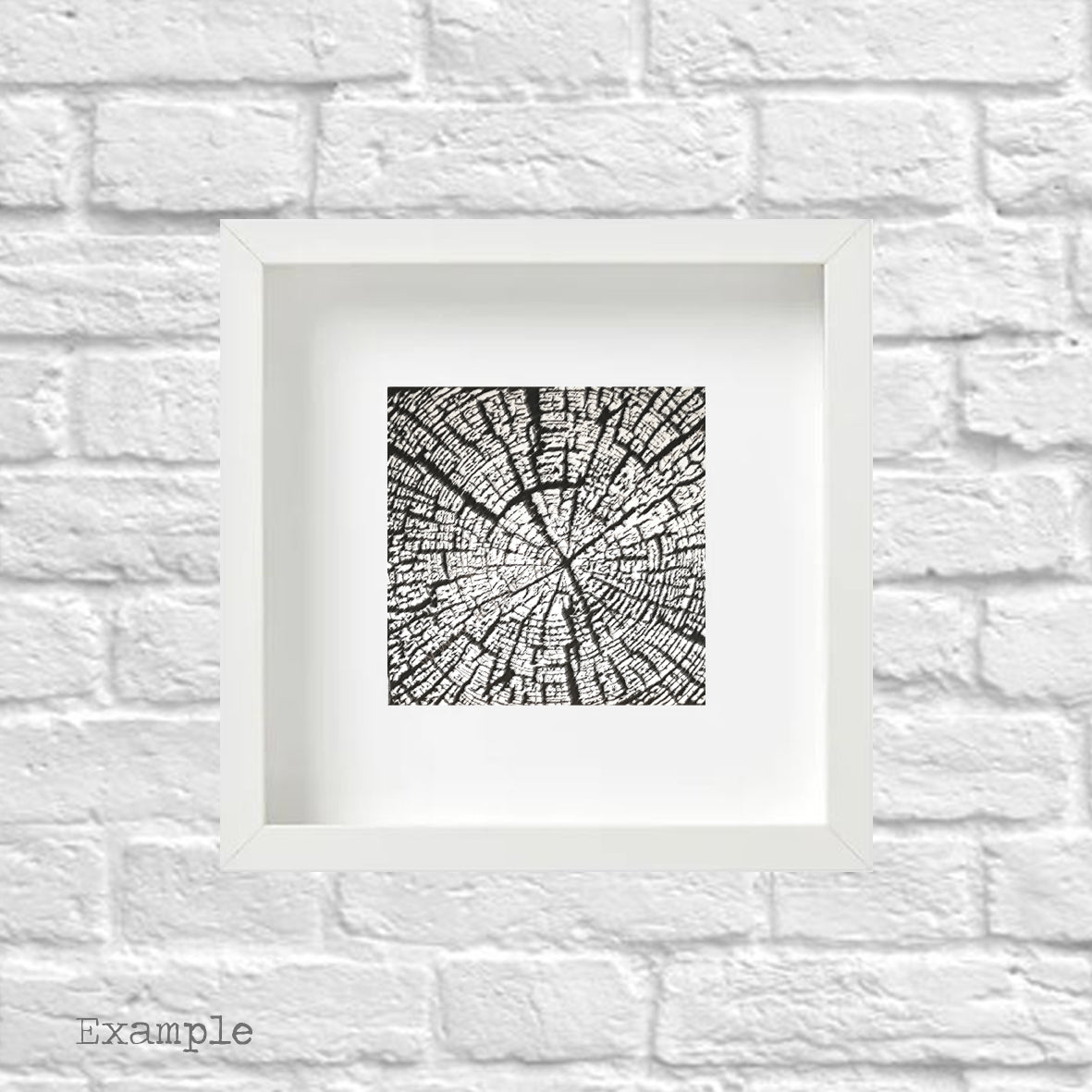 Rings Of Age | Framed Glass
