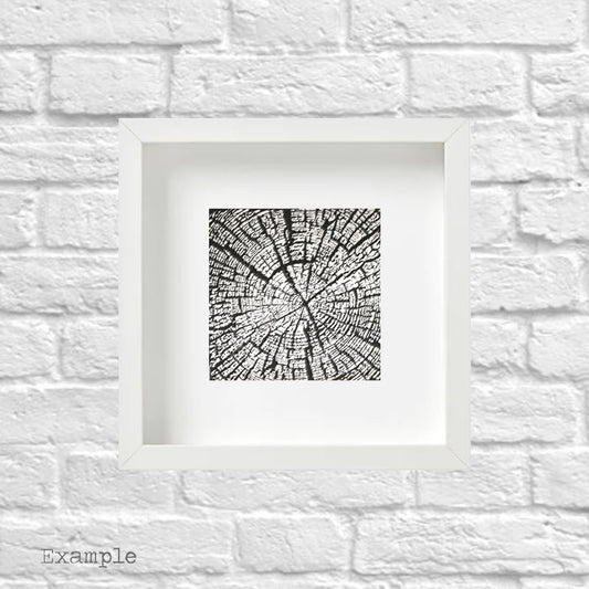 Rings Of Age | Framed Glass