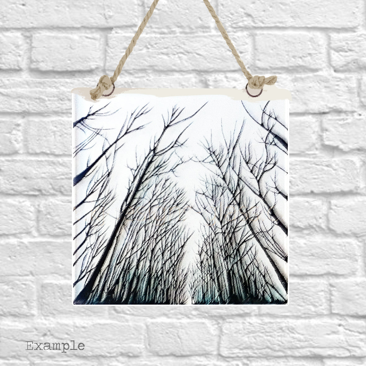 Black Forest | Rope Hanging
