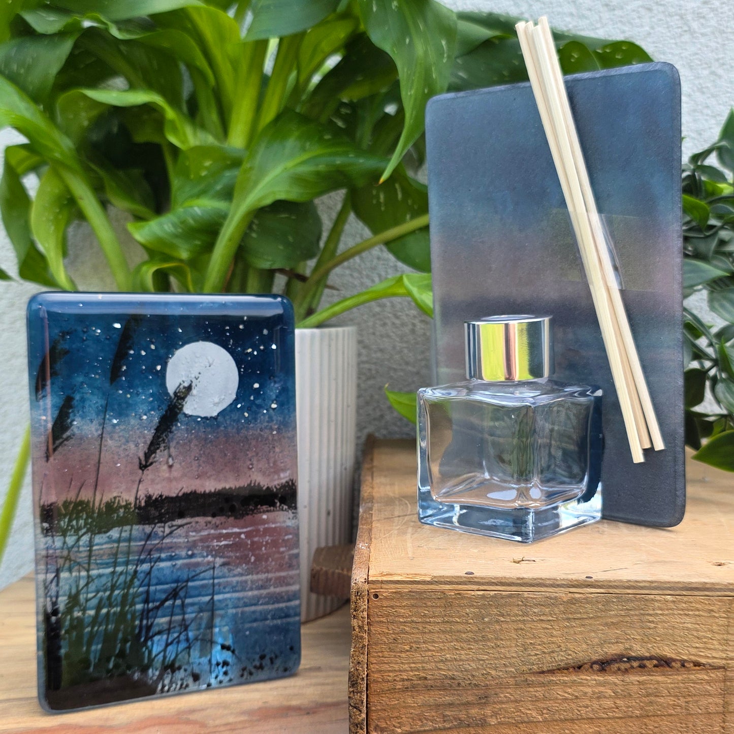 Moonlight Reeds | Diffuser