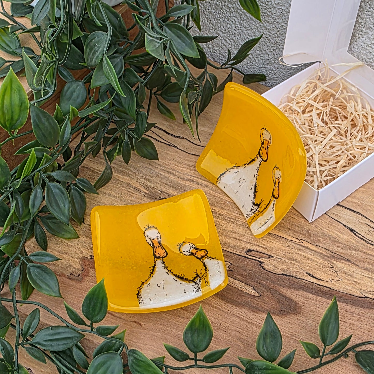 Dish | Two Ducks
