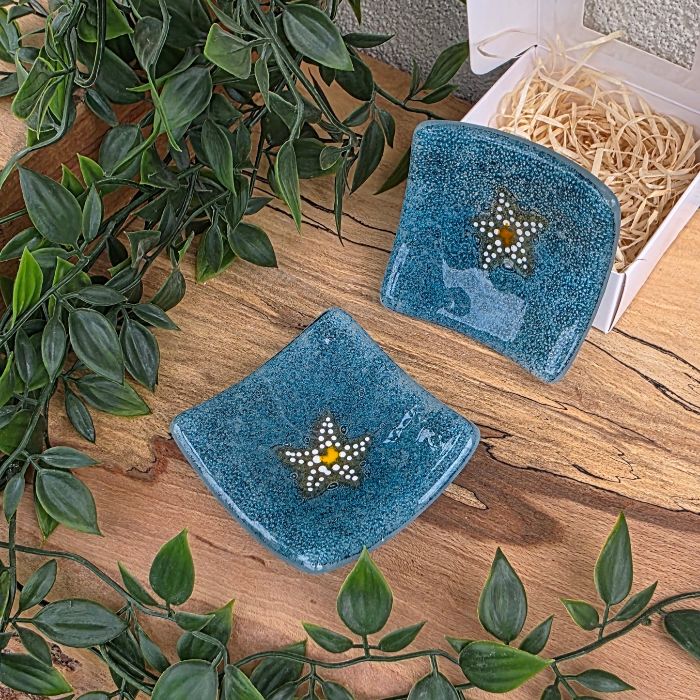 Dish | Little Starfish