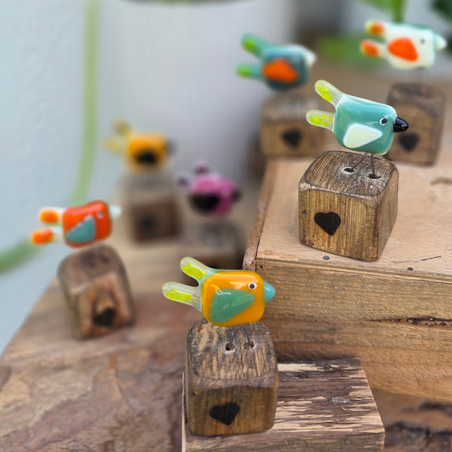 Funky Birds | On a Perch