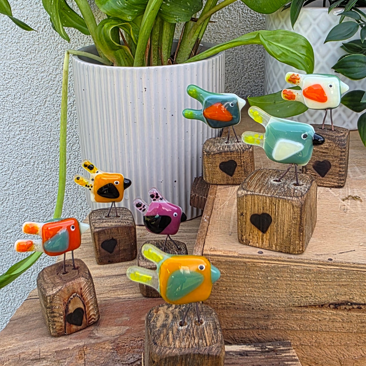 Funky Birds | On a Perch