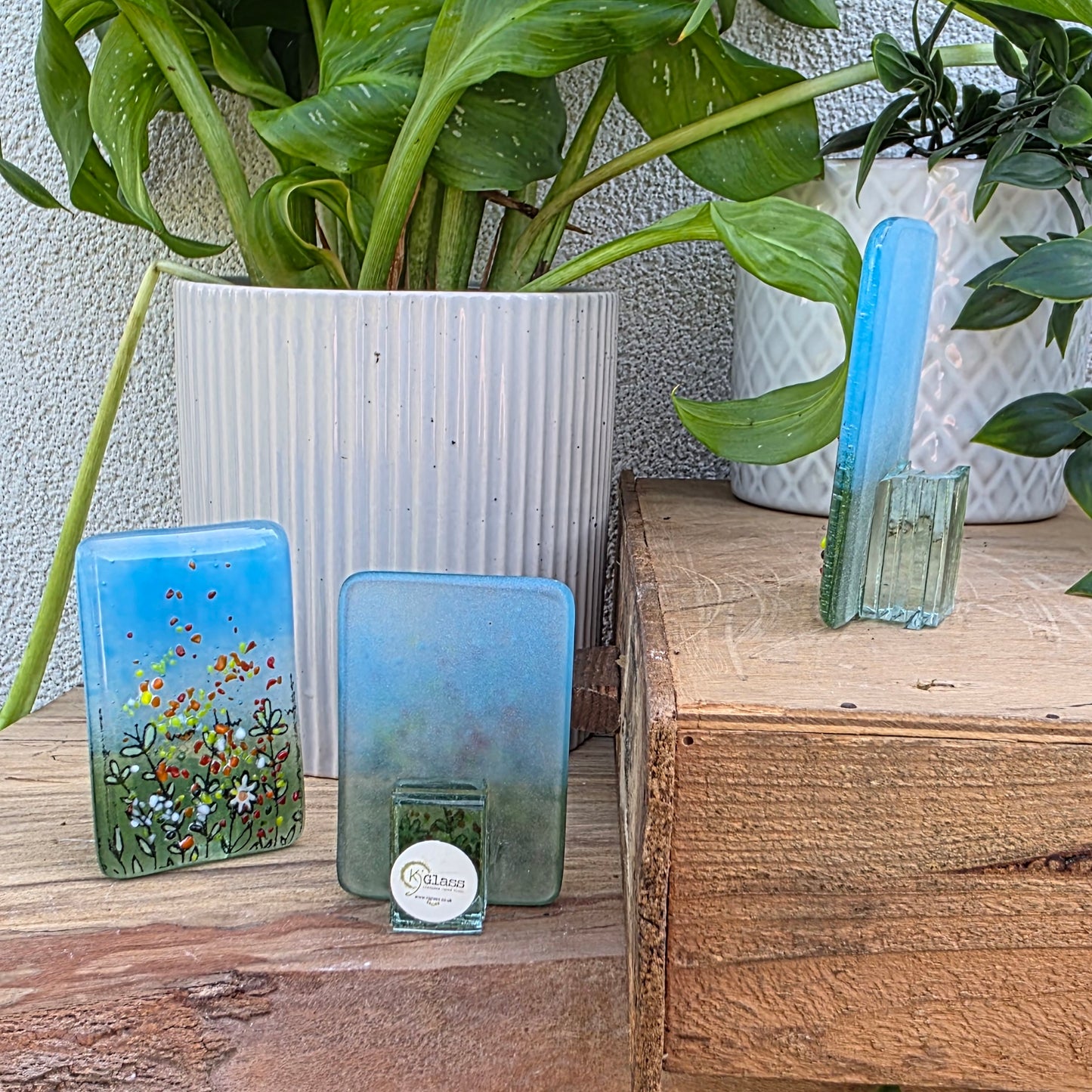 Meadow | Miniature