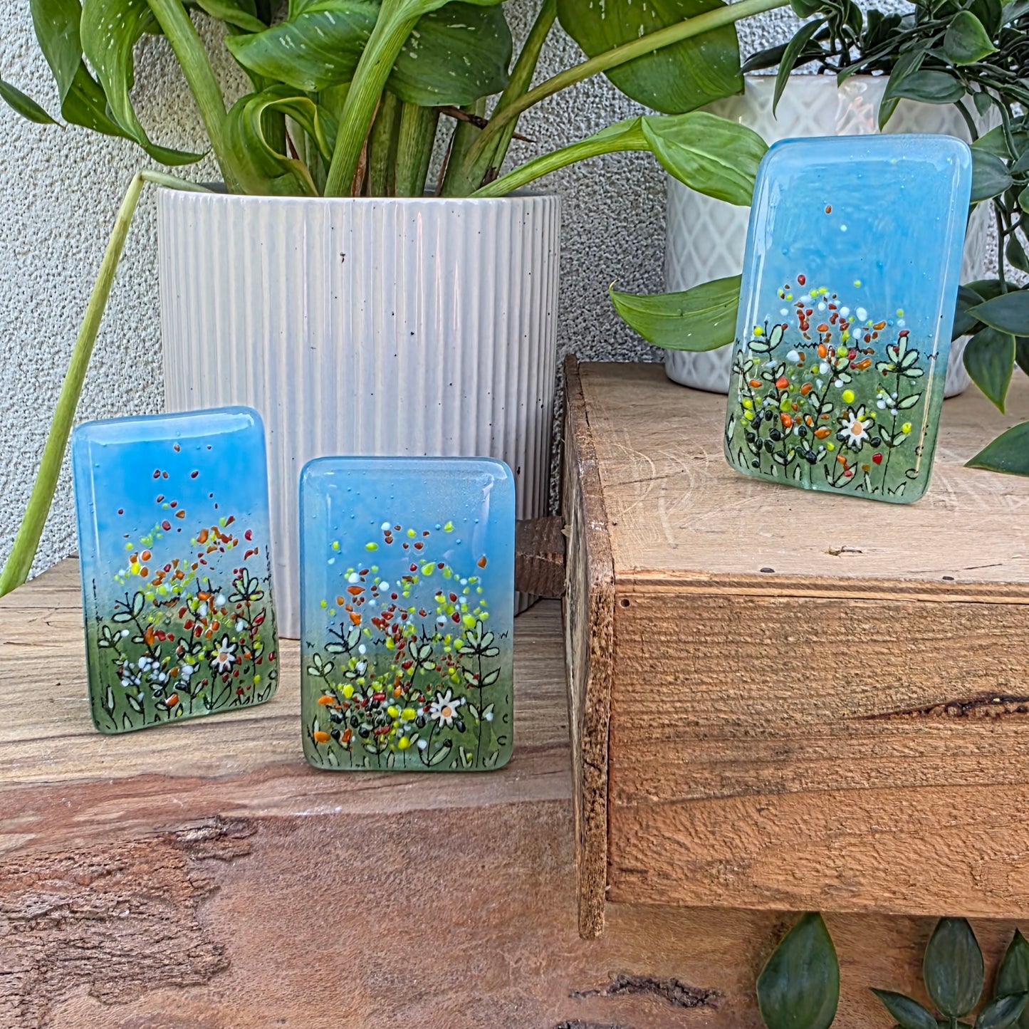 Meadow | Miniature